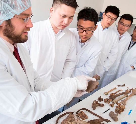 Oliver Krebs, Institut für Rechtsmedizin im Universitätsklinikum Eppendorf, bei der Schulung von jungen vietnamesischen Wissenschaftlern, die am 29. Februar ihr Training bei Bioglobe in Hamburg antraten. Oliver Krebs, Institut für Rechtsmedizin im Universitätsklinikum Eppendorf, bei der Schulung von jungen vietnamesischen Wissenschaftlern, die am 29. Februar ihr Training bei Bioglobe in Hamburg antraten.