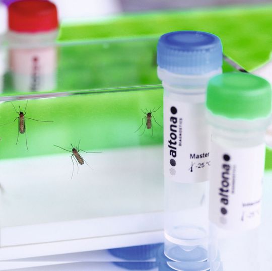 Real-Star-Zika-Virus-RT-PCR-Kit Real-Star-Zika-Virus-RT-PCR-Kit