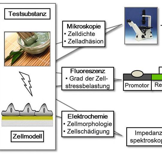 Abb. 1: Schema des Gesamtaufbaus des Lab-on-a-Chip-Systems zur Messung der Zellstress-Belastung von HaCaT-Zellen ... (Ausschnitt) Abb. 1: Schema des Gesamtaufbaus des Lab-on-a-Chip-Systems zur Messung der Zellstress-Belastung von HaCaT-Zellen ... (Ausschnitt)