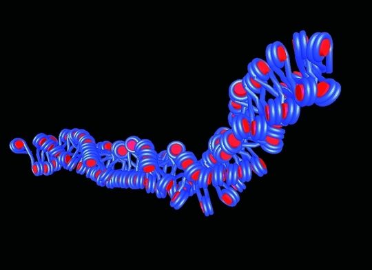 Abb. 1 Die Visualisierung der berechneten Struktur einer Chromatin-Faser. Abb. 1 Die Visualisierung der berechneten Struktur einer Chromatin-Faser.