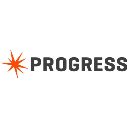 Datengetriebenes Marketing birgt laut Progress viele Vorteile. Datengetriebenes Marketing birgt laut Progress viele Vorteile.