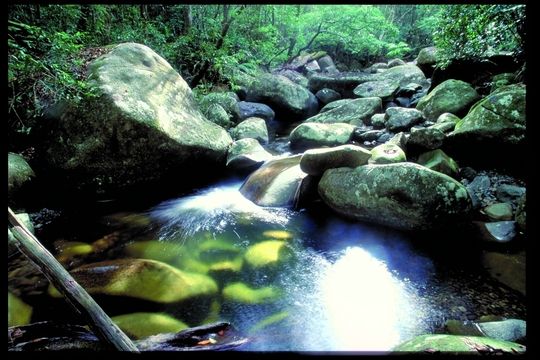 Für 132 Schadstoffe sind gesetzliche Höchstgrenzen in Trink- und Oberflächenwasser festgelegt. Für 132 Schadstoffe sind gesetzliche Höchstgrenzen in Trink- und Oberflächenwasser festgelegt.
