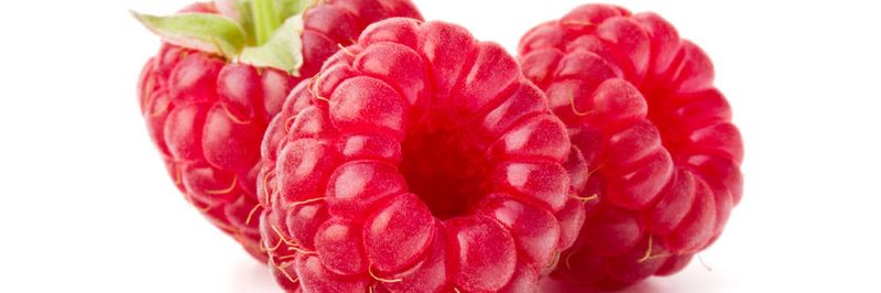 Von Beginn an war das Debian-basierte Raspbian das empfohlene Einsteiger-Betriebssystem für alle Varianten des Raspberry Pi. Für Einsteiger, Fortgeschrittene oder Experimentierfreudige existiert allerdins eine breite Anzahl an Betriebssystem-Alternativen für den Einplatinenrechner.