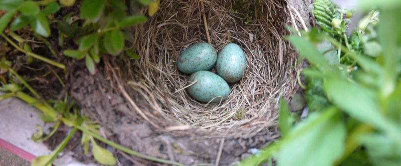 Nested Vitialization: Hyper-V im Nest von Hyper-V und mit der Möglichkeit per vSphere zu testen