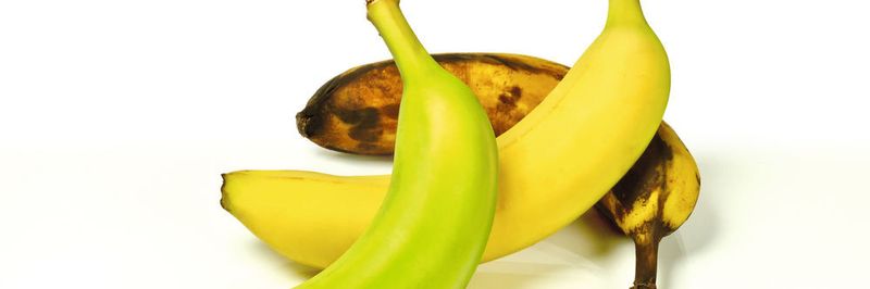 In neuen Reifekammern sorgt durchgängige Automatisierung für beste Reifeergebnisse von Bananen, Energieeffizienz für die Betreiber inklusive.