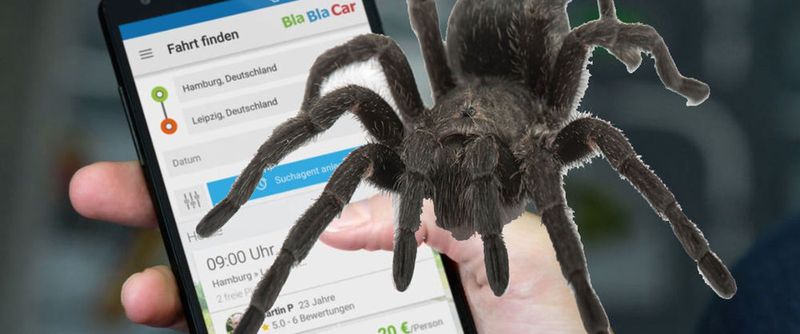 "Spider" ist eine Speicher-Engine mit integrierten Sharding-Funktionen und nun nebst MariaDB bei BlaBlaCar im Einsatz.