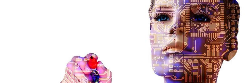 In fünf Jahren soll bereits der erste Roboter existieren, der einem Menschen in punkto Intelligenz ebenbürtig ist. Wen kann dieser Roboter ersetzen? Den Buchhalter? Den Juristen? Werden wir das zulassen oder uns zur Wehr setzen?