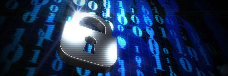 Für 81 Prozent der befragten Unternehmen ist die Investition in die Datensicherheit am wichtigsten.