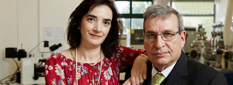 Für ihre Erfindung wurden Elvira Fortunato und Rodrigo Martins als Finalisten für den Europäischen Erfinderpreis 2016 in der Kategorie „Forschung" nominiert. Die Auszeichnung wurde am 9. Juni in Lissabon vom Europäischen Patentamt (EPA) zum elften Mal verliehen. Die Kategorie Forschung gewann am Ende der französische Physiker und Neurochirurg Alim-Louis Benabid für die Entwicklung einer revolutionären Behandlungsmethode gegen Parkinson und weiteren neurologischen Erkrankungen.