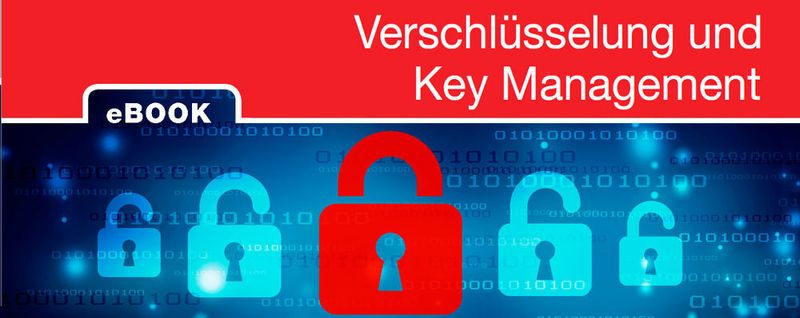 Verschlüsselung ist eines der wichtigsten und zugleich problematischsten Compliance-Themen.