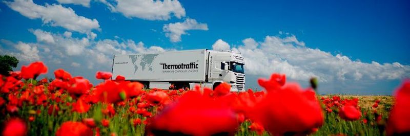 Egal ob Rosen aus Kenia oder Tulpen aus den Niederlanden: Bei Schnittblumentransporten bietet sich Thermotraffic als zuverlässiger Logistikpartner an.