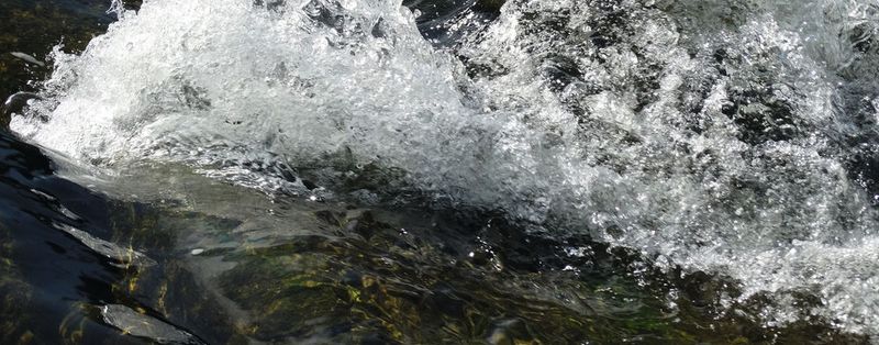 Abb. 1: Hormonell wirksame Substanzen wie 17α-Ethinylestradiol oder Estron finden sich auch in der aquatischen Umwelt.