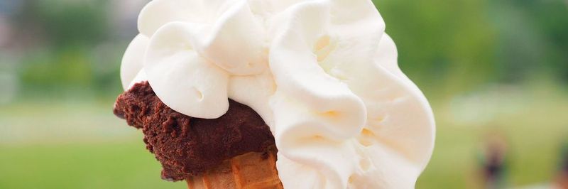 Im Gegensatz zu Sorbets weist Milcheis eine festere Konsitenz auf, was bedeutet, dass man in der Eismaschine ein wesentliche höheres Drehmoment benötigt, um die Ware zu rühren.