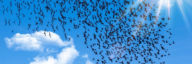Die Cloud setzt neue Wertschöpfungsmechanismen in Gang, die bisherige Geschäfts- und Arbeitsmodelle deutlich verändern und beeinflussen.
