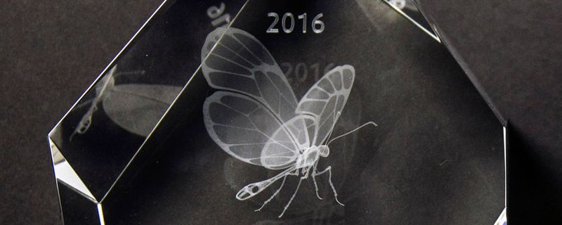 Altair und das Center for Automotive Research haben den diesjährigen Enlighten Award verliehen. Der Preis würdigt die besten Leistungen im automobilen Leichtbau.