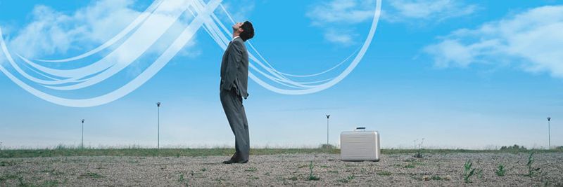 Verwurzelt bleiben oder in die Wolke gehen – SuperOffice CRM bietet beide Optionen.