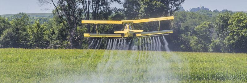 Abb. 1: Organochlorpestizide kamen weltweit Jahrzehnte lang als Pflanzenschutz- und Schädlingsbekämpfungsmittel zum Einsatz.