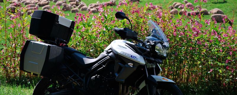 Das schöne Sommerwetter animiert viele Biker, jetzt doch noch ein neues Motorrad zu kaufen.