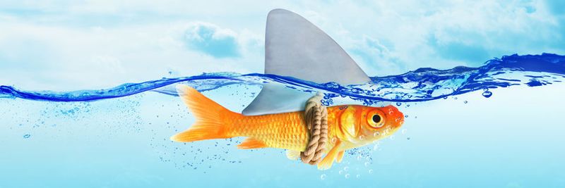 Der CIO ist nicht mehr nur der Hüter der IT, sondern muss heute aktiv zu Innovation und Geschäftserfolg seines Unternehmens beitragen.