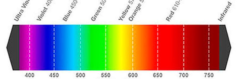 Licht: Kombinationen von warmweißen, hyperroten und tiefblauen Wellenlängen sind die optimale Beleuchtung für schnelles Pflanzenwachstum.