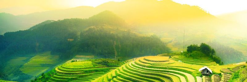 In South Korea, 82% of adults have a higher-education degree and the ratio of enrolled six-year-olds is 100%. Furthermore, South Korea is believed to have the worldwide highest IQ on average.