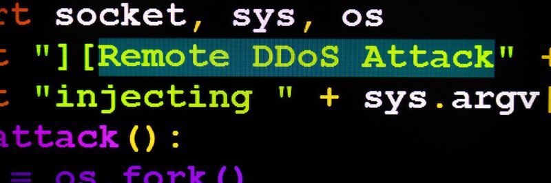 Angriffe über das Domain Name System (DNS) werden immer populärer.