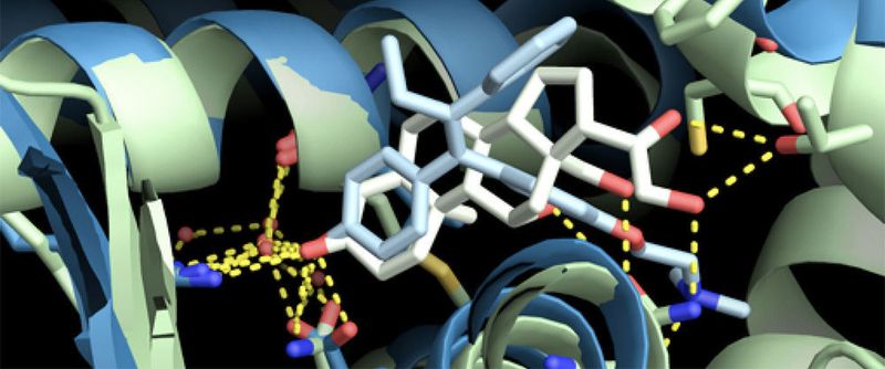 Die Transinsight GmbH gehört zu den Kunden von Fortissimo und soll für die Klientel typisch sein. Sie entwickelt wissensbasierte semantische Lösungen für die Life-Sciences. Das Flagschiffprodukt „GoPubMed“ ist die erste Such-Systeme dieser Art im Internet.