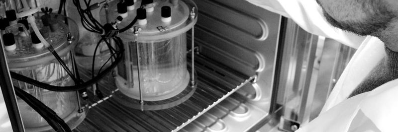 Der Biologe Johannes Eberhard Reiner vom KIT zeigt die Reaktoren zur mikrobiellen Elektrosynthese.