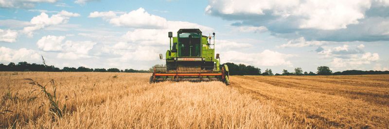 Die Landwirtschaft entwickelt sich rasant zu einer digitalisierten Branche. Schon heute nutzt mehr als jeder Zweite in der Branche digitale Lösungen.