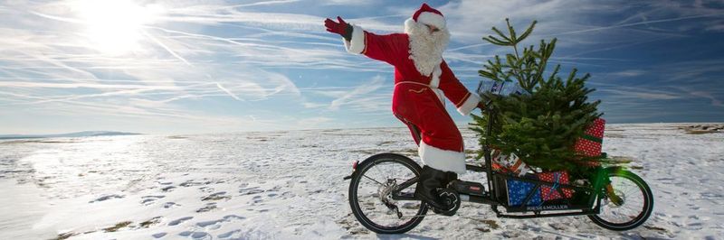 Weihnachtsbaumtransport funktioniert auch per Rad. Für Vielbeschäftigte, die nicht selbst in die Pedale treten wollen oder können, gibt es sogar einen Fahrrad-Bringservice für Fichte und Tanne.