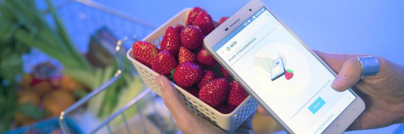 Der SCiO-Molekularscanner kann den Reifegrad oder die Frische von Früchten erkennen.