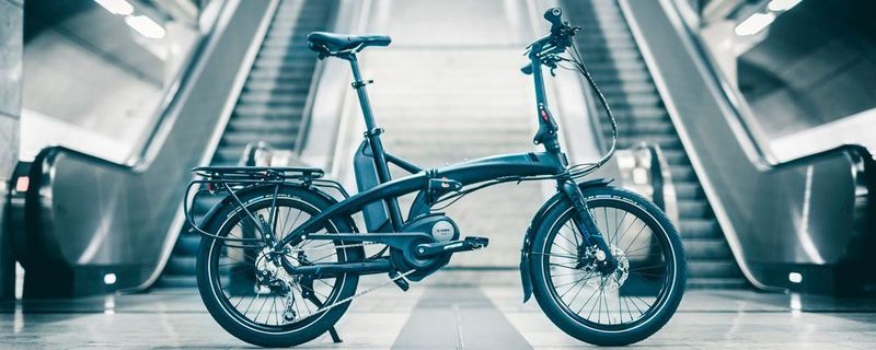 Tern Elektron