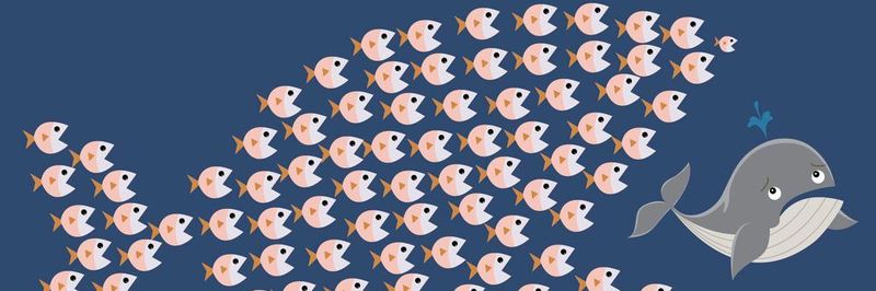 Durch die digitale Welle droht etablierten Unternehmen auch Gefahr von ungeahnten Seiten.