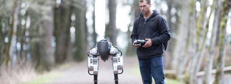 Der Schreitroboter „Cassie“ soll der Prototyp für die automatischen Postboten der Zukunft werden.