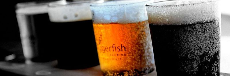 Beim Bierbrauen fallen viele Rückstände an – europaweit rund 400.000 t im Jahr.