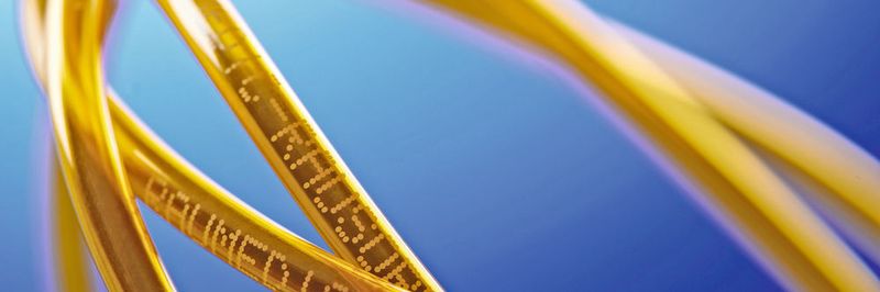 Die Koextrusion mehrerer Polymerschichten bei der Herstellung kleinstdimensionierter Schläuche für die Medizintechnik ist noch immer Neuland.