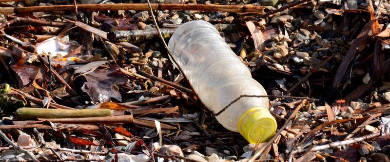 Gigantische Mengen von Plastik verschmutzen die Weltmeere. Um bereits Schüler für das Thema zu sensibilisieren, stellen Forscher und Pädagogen nun Lehrmaterialien bereit.