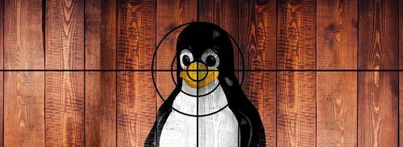 Im Visier der Hacker: Bei linuxbasierten IoT-Geräten kompromittieren schlechtes Systemdesign, problematische Rechtevergabe sowie fehlende Updates die Sicherheit.