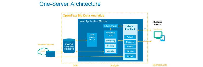 Eine Ein-Server-Architektur der Analytics Suite 16 für Big Data Analytics. Sie basiert auf der OpenText-Datenbank FastDB.