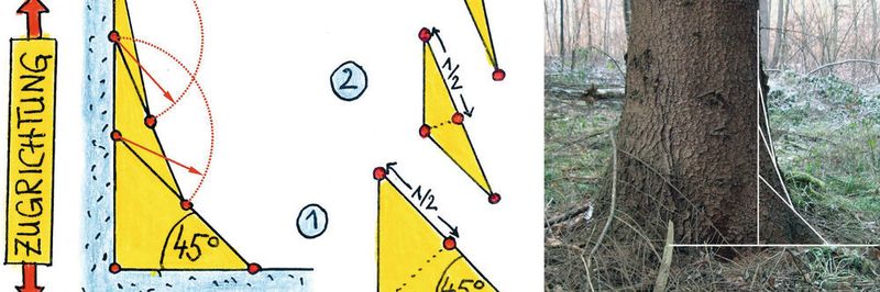 Kerben sind Schwachstellen. Mit einer Formgebung nach dem Vorbild der Natur können sie aber so optimiert werden, dass sie weniger hohe Spannungskonzentrationen bewirken.