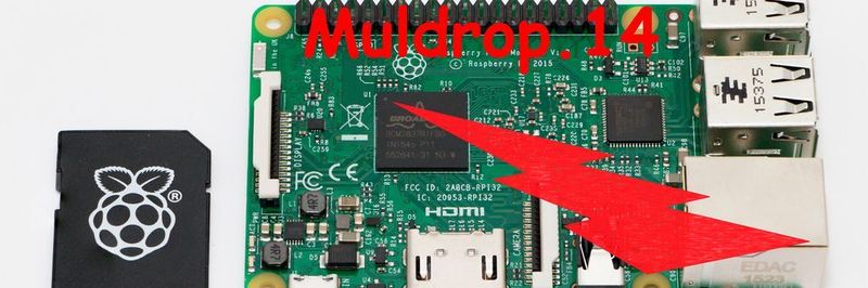 Raspberry Pi: Die Malware Muldrop.14 macht ausschließlich Raspberry Pis zu Botnetzen