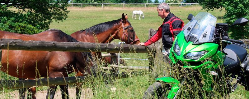 Worauf Biker bei der sommerlichen Motorradausfahrt achten sollten, hat das Institut für Zwieradsicherheit (ifz) zusammengefasst.