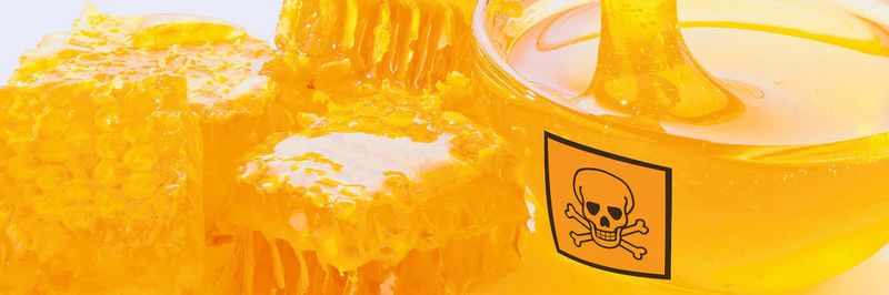 Honeypots werden prominent in Netzwerken platziert, die ein potenzielles Angriffsziel darstellen