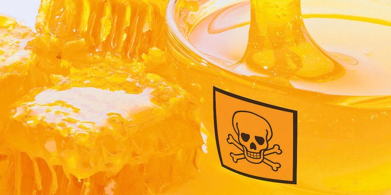 Honeypots werden prominent in Netzwerken platziert, die ein potenzielles Angriffsziel darstellen
