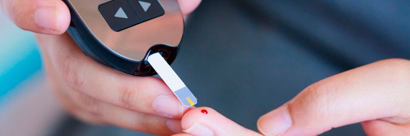 Die regelmäßige Auswertung und Besprechung der Glukosewerte gehört mit zum Telemedizin-Projekt in Schleswig-Holstein