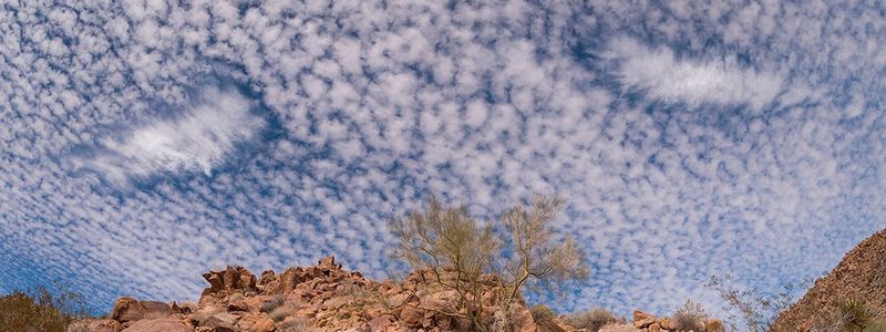 Die einen werben für ein neues Cloud-Business, die anderen holen sich ihre Anwendung ins Haus: TÜV Süd kauft Cloud-Angebote, Facebook WhatsApp verlässt IBM Softlayer.