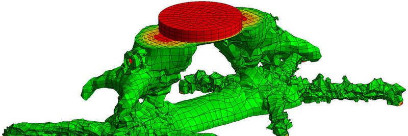 Ergebnis der Topologieoptimierung.