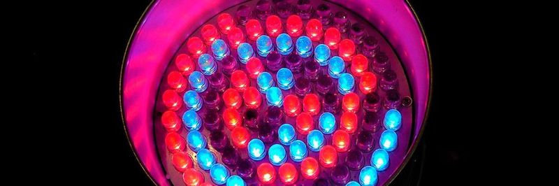 Wissenschaftler können die Farbe einer LED präzise über die Größe von Halbleiter-Kristallen definieren.