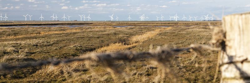 100-Gbit-Glasfaser unter dem Acker: Windcloud verortet das nordfriesische Rechzentrum in unmittelbarer Nähe zum Glasfaser-Highway zwischen Mitteleuropa und Skandinavien.