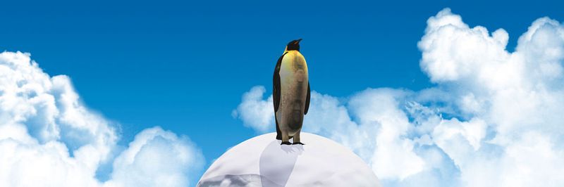 Bei „Linux on Azure“ wird Microsoft zum Open-Source-Fan.